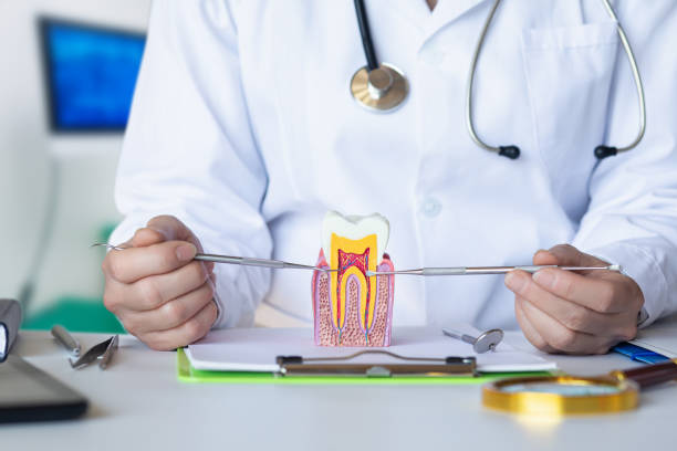 Best Emergency Dental Extractions in Walthourville, GA